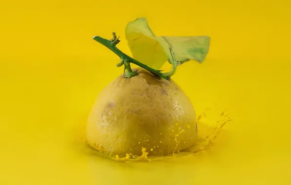 Picture background, lemon, fruit