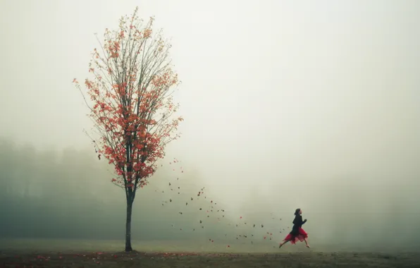 Autumn, leaves, girl, fog, tree