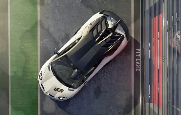 Picture Lamborghini, the view from the top, Aventador, SVJ, Lamborghini Aventador SVJ