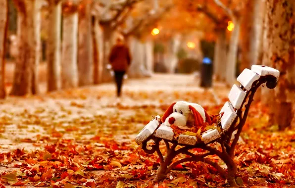 Bench, foliage, toy, Autumn, silhouette