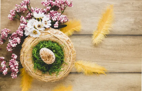 Egg, moss, Feathers, Branches, Easter, socket, hay, Holiday
