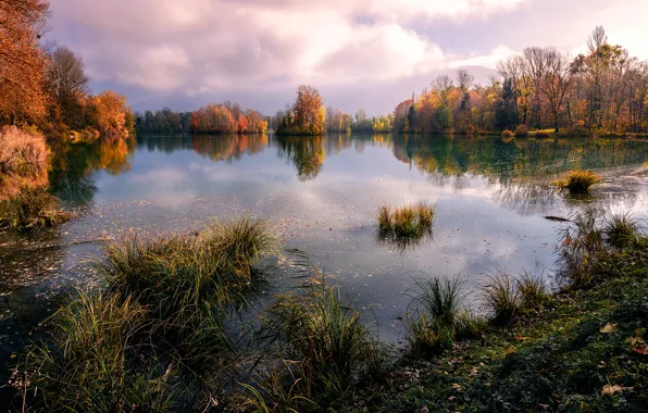 Picture autumn, trees, pond, Savoy