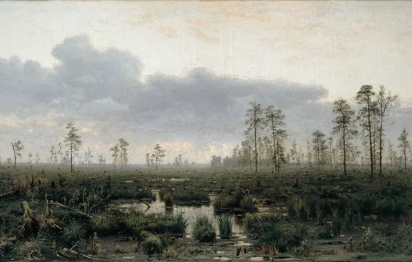 Picture oil, Canvas, f, cloudy sky, Vladimir MENK, Morning in the swamp