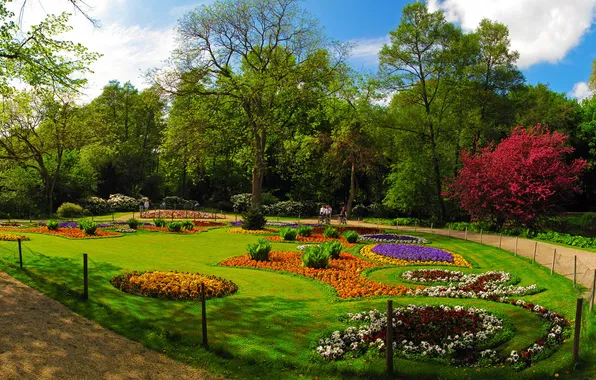 Picture grass, trees, flowers, Park, stay, Germany, colorful, beds