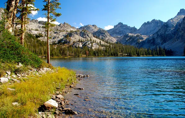 Autumn, forest, the sky, trees, mountains, lake, stones