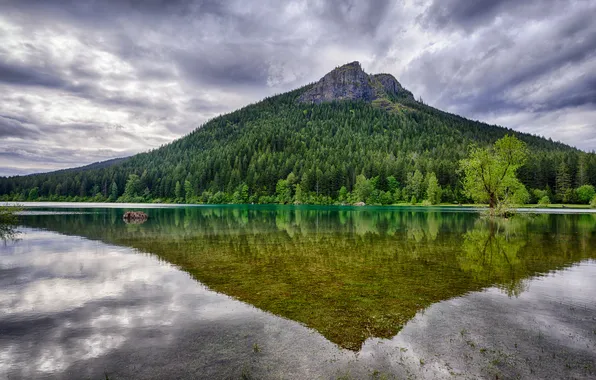 Picture forest, the sky, clouds, trees, lake, reflection, mountain