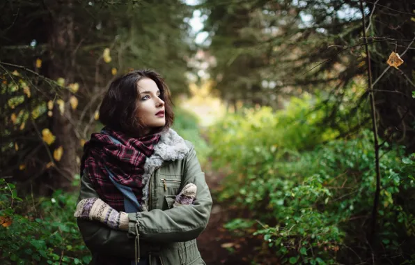 Picture autumn, forest, girl, nature