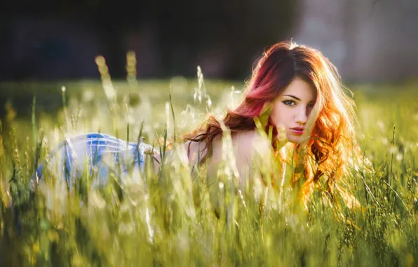 Picture field, grass, look, girl, sweetheart, meadow, red, girl