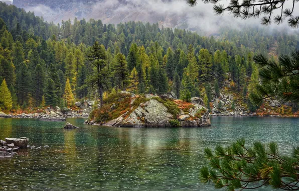 Forest, river, mountains, lake, fog