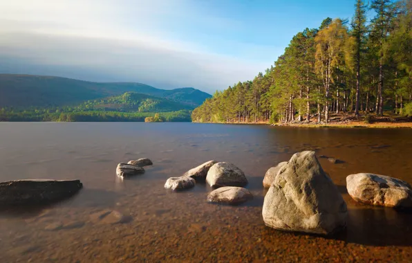 Forest, mountains, river, stones, river, nature, rocks, fall