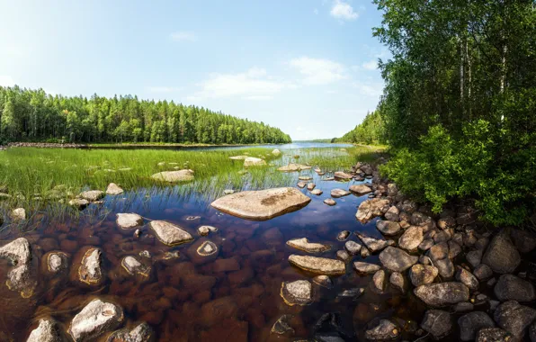 Picture summer, grass, water, river, stones, dibr