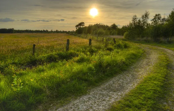 Road, field, landscape, sunset