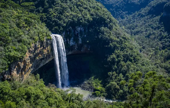Forest, rock, waterfall, Brazil, Brazil, Cascata do Caracol waterfall, Caracol Falls, Canela