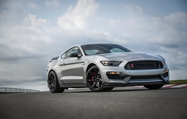 Picture grey, Mustang, Ford, Shelby, track, GT350R, 2020
