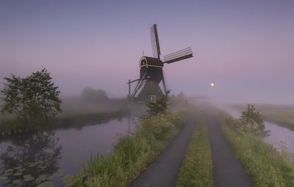Picture Holland, Windmill, Full Moon, Streefkerk, Broekmolen