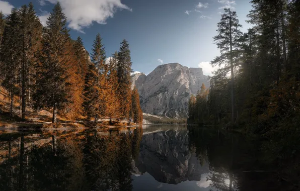 Autumn, forest, the sky, clouds, light, trees, mountains, lake