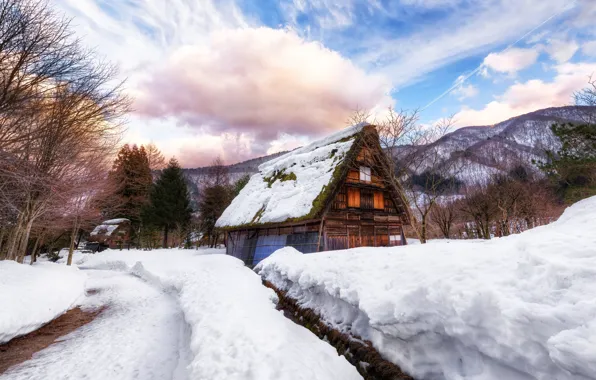 Winter, snow, house, Japan, village