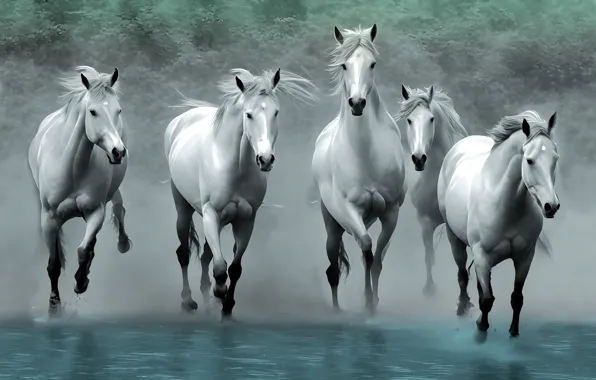 Nature, horses, horse, Fox, white, digital painting, Fox, digital art