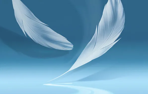 Background, shadow, feathers, Galaxy Note 2