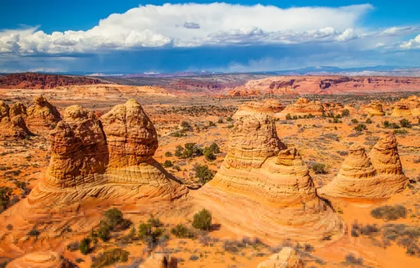 Picture rocks, paint, desert, AZ, USA