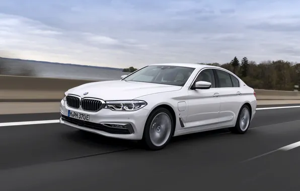 Picture road, white, BMW, the fence, sedan, hybrid, 5, four-door