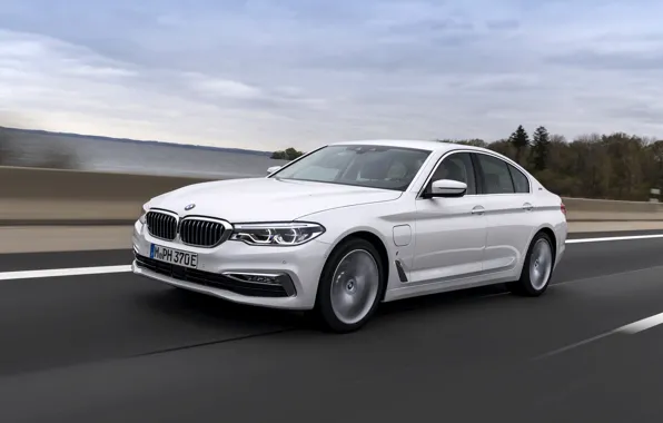 Road, white, BMW, the fence, sedan, hybrid, 5, four-door