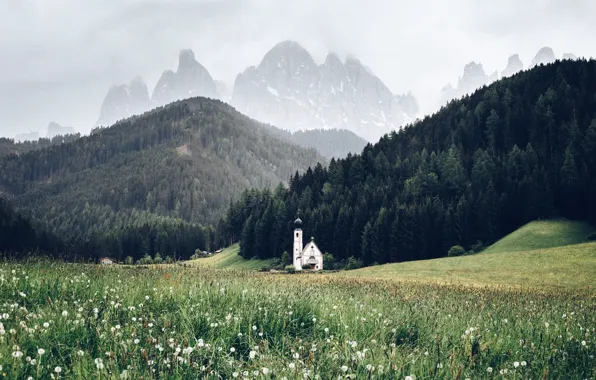 Forest, summer, flowers, mountains, spring, Alps, Church, dandelions