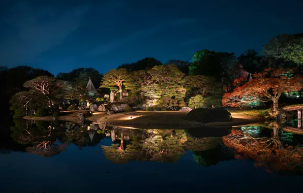 The sky, water, trees, night, design, lights, pond, Park