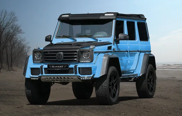 Picture Mercedes-Benz, Mercedes, g, Mansory, G-Class, W463