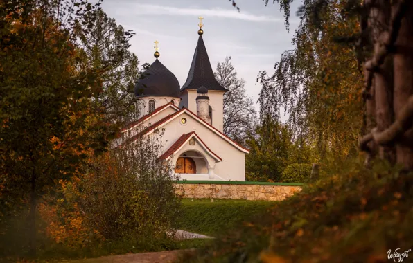 Picture nature, Tula oblast, Ilya Garbuzov, Behovo, Church of the Holy Trinity