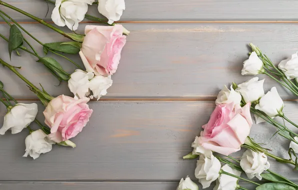 Flowers, roses, eustoma