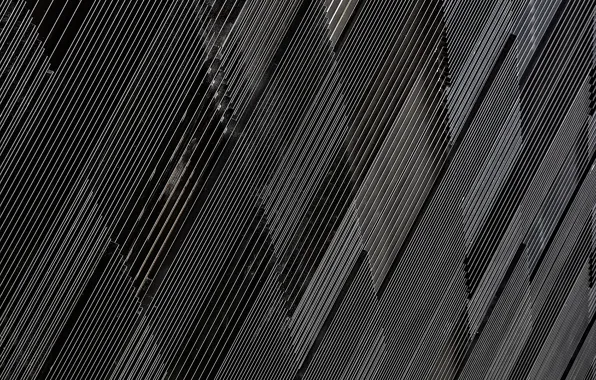 Picture line, plate, texture, black and white