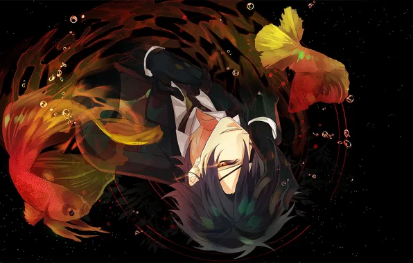 Look, anime, art, guy, Touken ranbu, Dance Of Swords