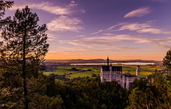 Picture field, forest, the sky, trees, sunset, branches, nature, castle