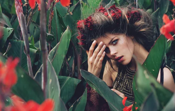Picture girl, flowers, model, makeup, brunette, hairstyle, wreath, the bushes
