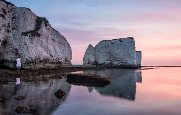 Rocks, shore, Dorset, Old Harry Rocks