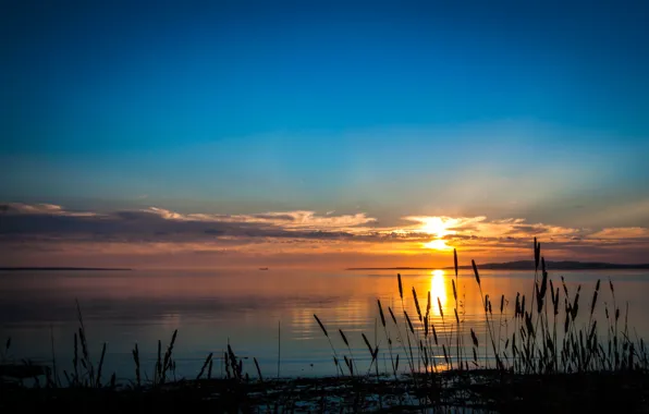 Picture the sky, grass, sunset, nature, river, photo, dawn, coast