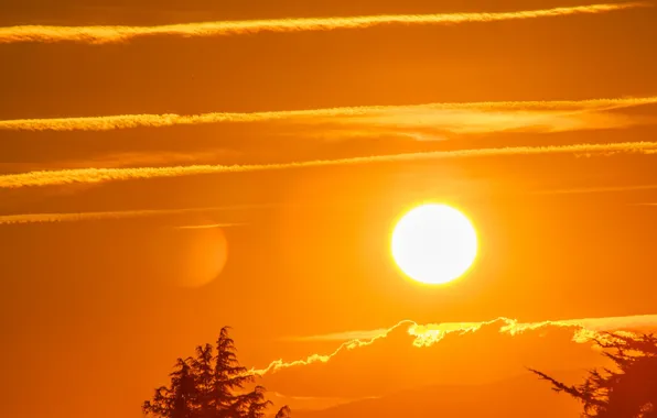 The sun, sunset, tree, cloud, glow
