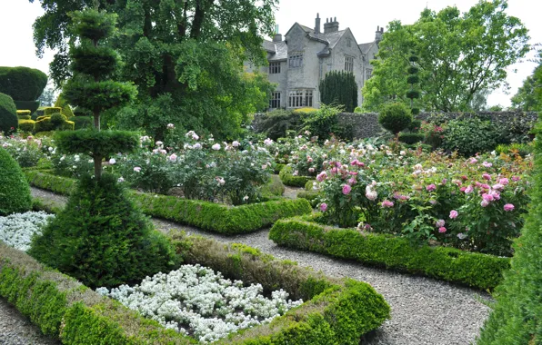 Picture flowers, design, castle, garden