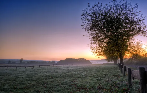 Field, landscape, sunset, fog, the fence