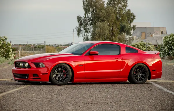 Picture wheels, red, black, mustang, ford