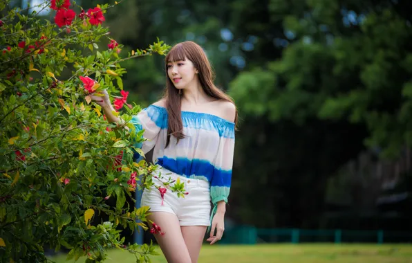 Girl, flowers, pose, Asian, shrub, bokeh