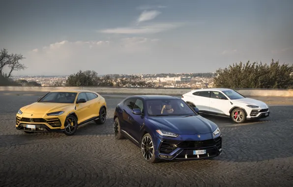 The evening, Lamborghini, Italy, 2018, crossover, Urus