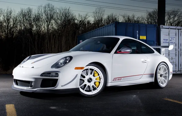 Picture white, the sky, trees, tuning, 911, supercar, porsche, Porsche