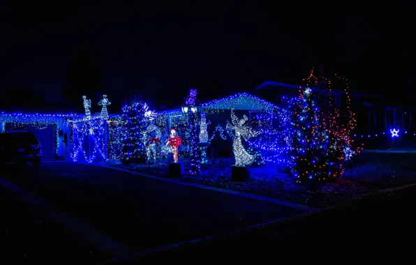 Night, lights, tree, angel, New Year, Christmas