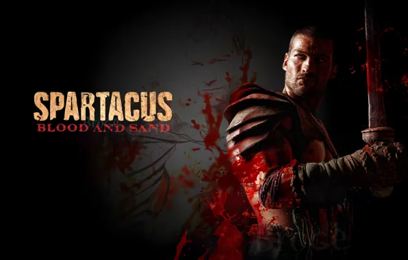 Picture warrior, Gladiator, Spartacus, spartacus, sand and blood