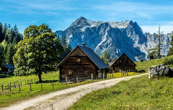 Road, greens, the sky, grass, the sun, trees, mountains, rocks