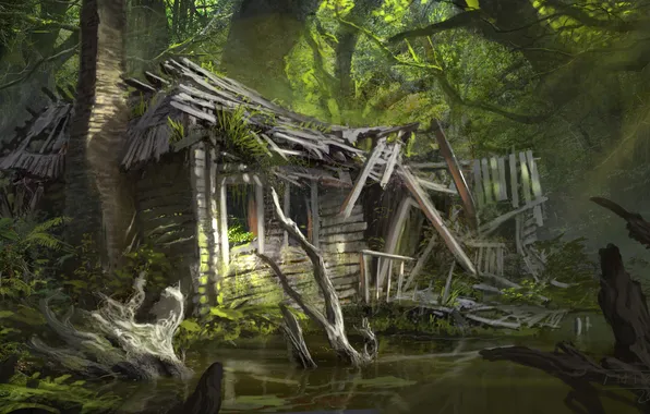 Trees, house, swamp, art, abandoned, ruins