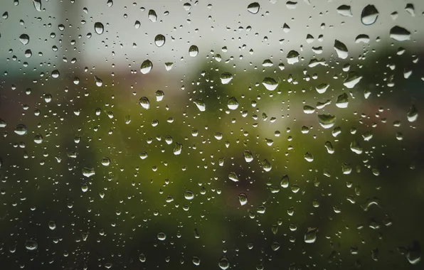 Drops, macro, nature, rain