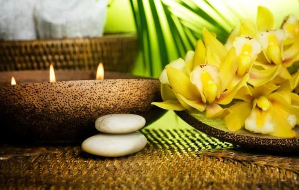 Candles, bowl, Orchid, pebbles, stones, Orchid, candles, bowl